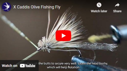 Tying the X Caddis Fishing Fly